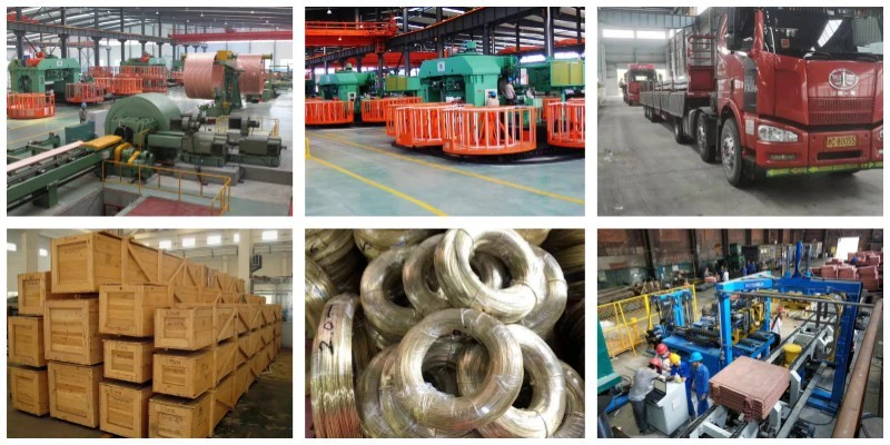 Gnee copper10 Gnee copper10